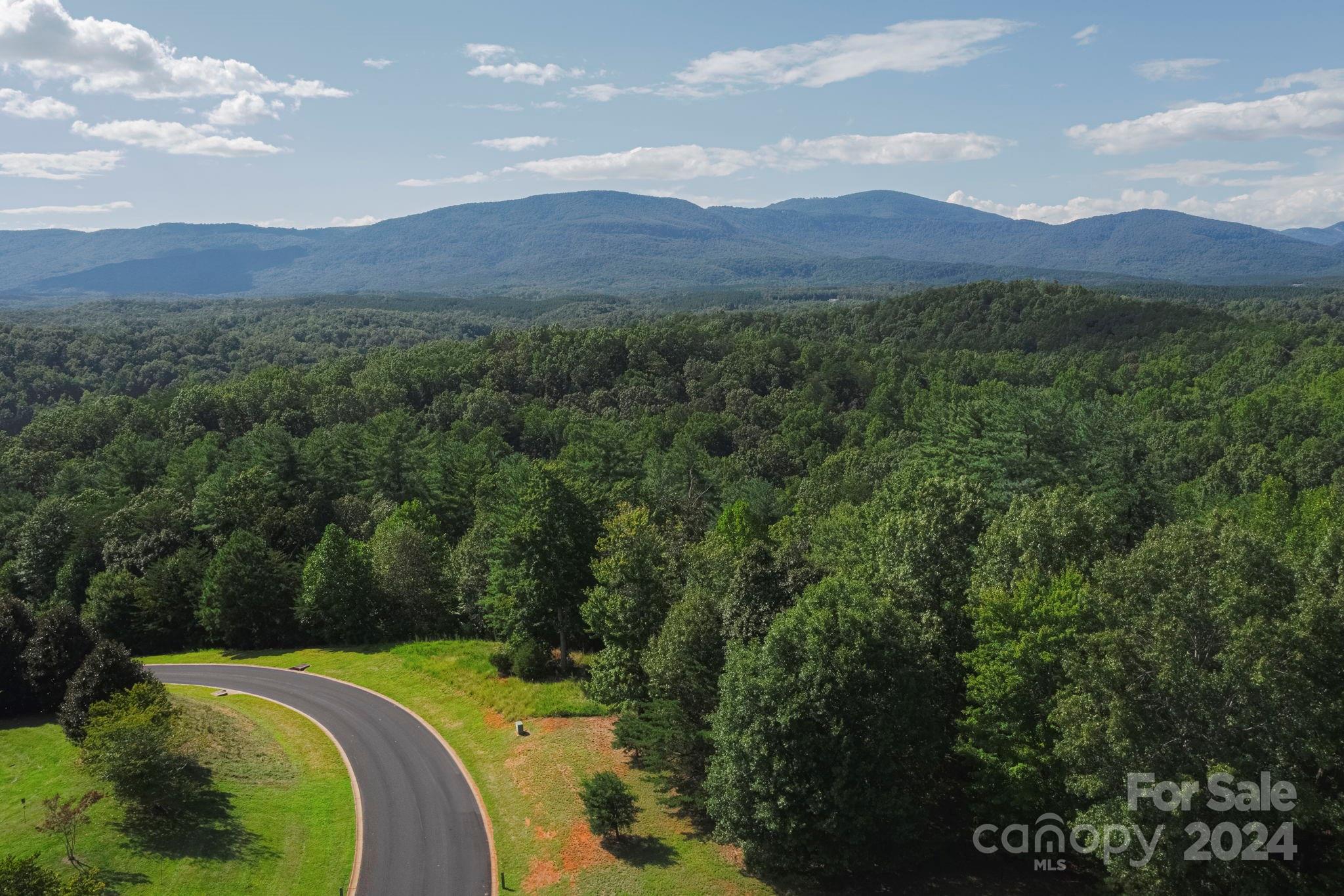 Lot 28 Mountain Pkwy Mill Spring, Unit 28 Mill Spring, NC 28756 - Photo 1 of 18 a view of a lush green hillside and a houses