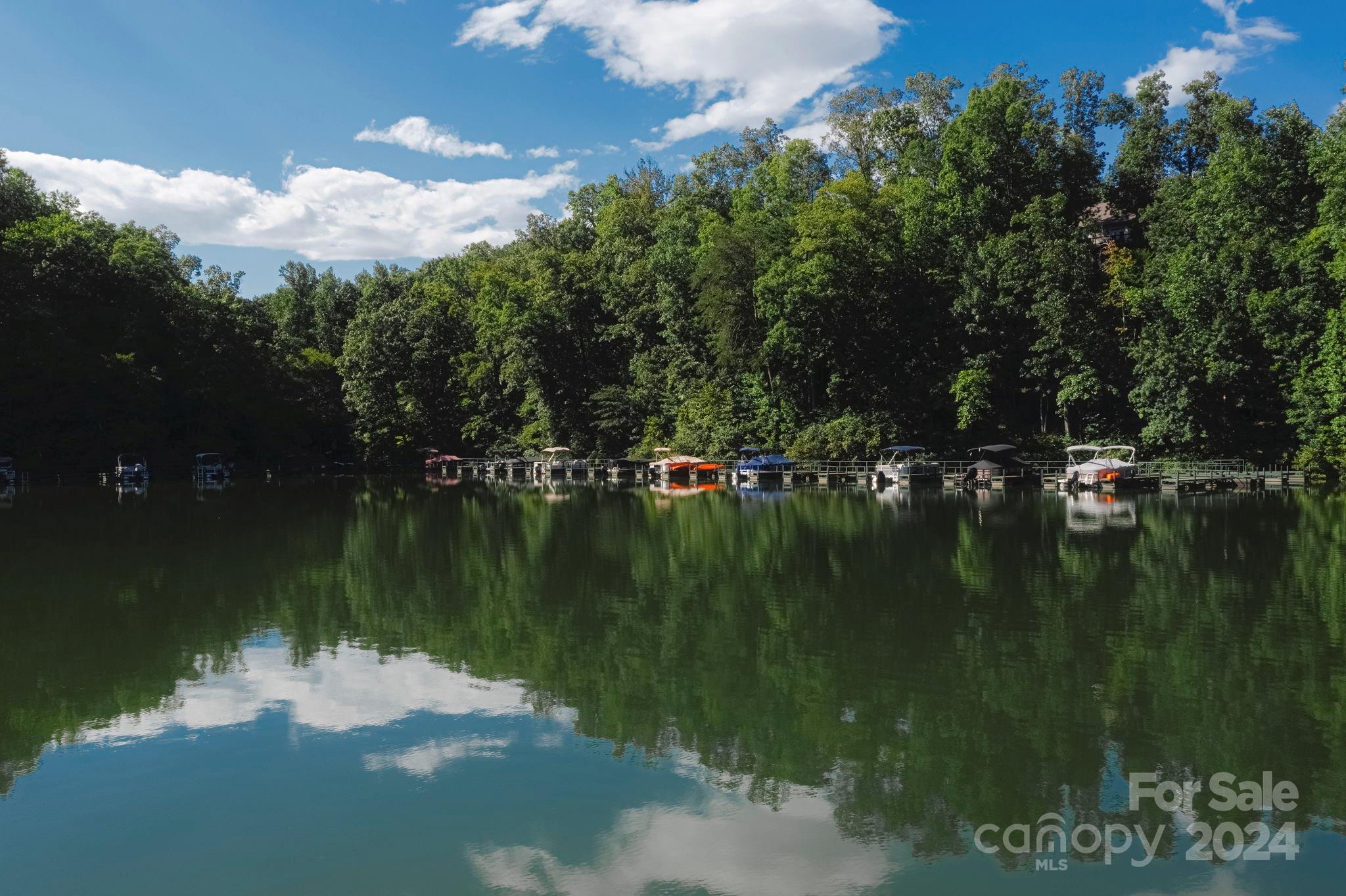 Lot 28 Mountain Pkwy Mill Spring, Unit 28 Mill Spring, NC 28756 - Photo 11 of 18 a view of lake