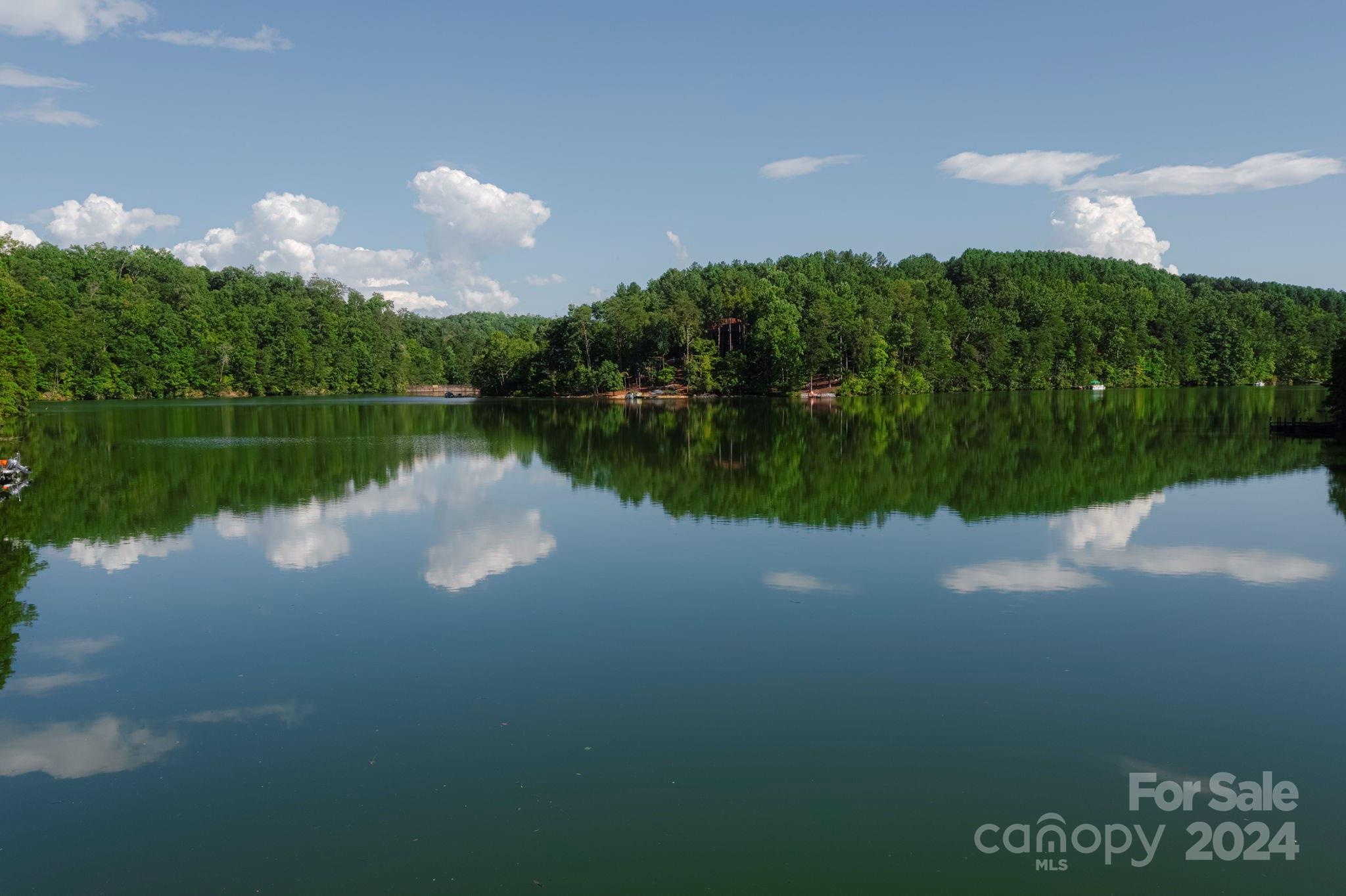 Lot 28 Mountain Pkwy Mill Spring, Unit 28 Mill Spring, NC 28756 - Photo 14 of 18 a view of a lake in between two of people