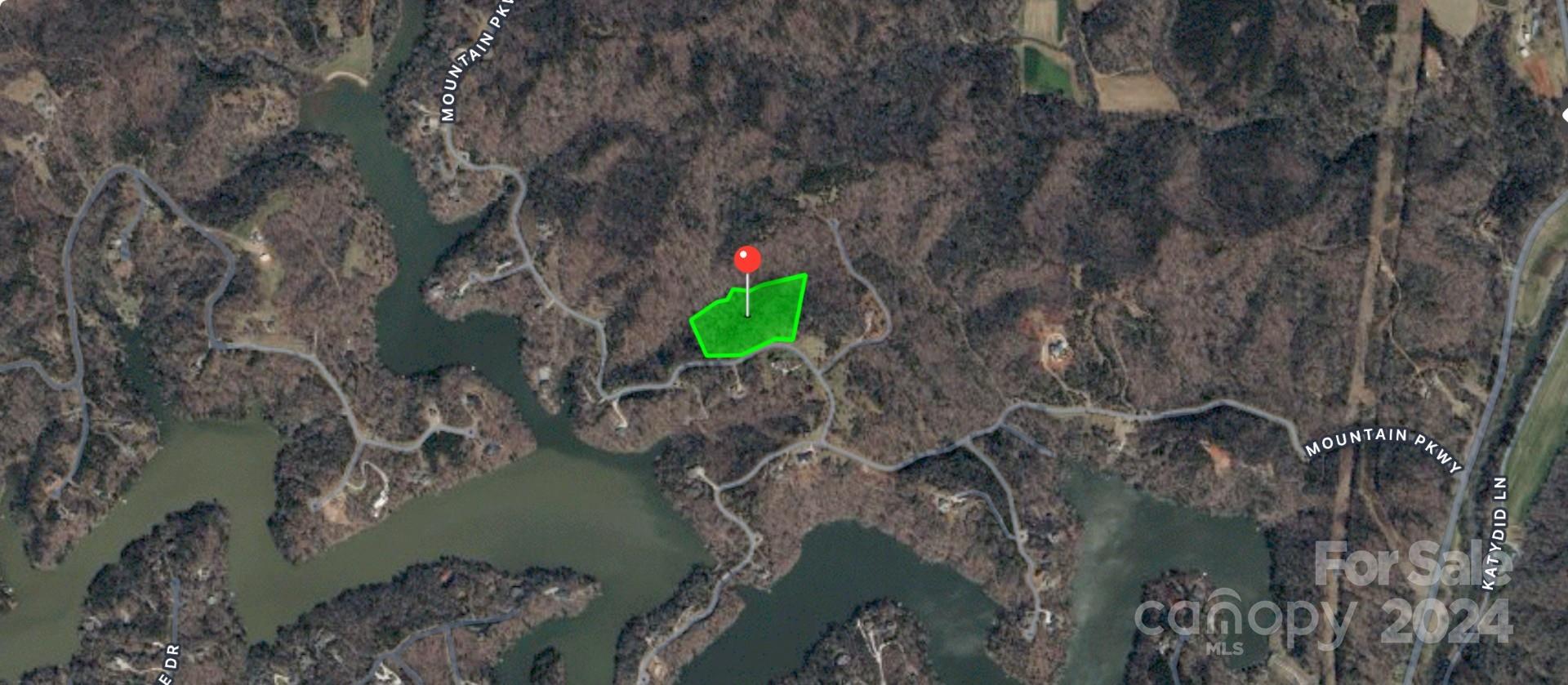 Lot 28 Mountain Pkwy Mill Spring, Unit 28 Mill Spring, NC 28756 - Photo 17 of 18 a green field with lots of trees