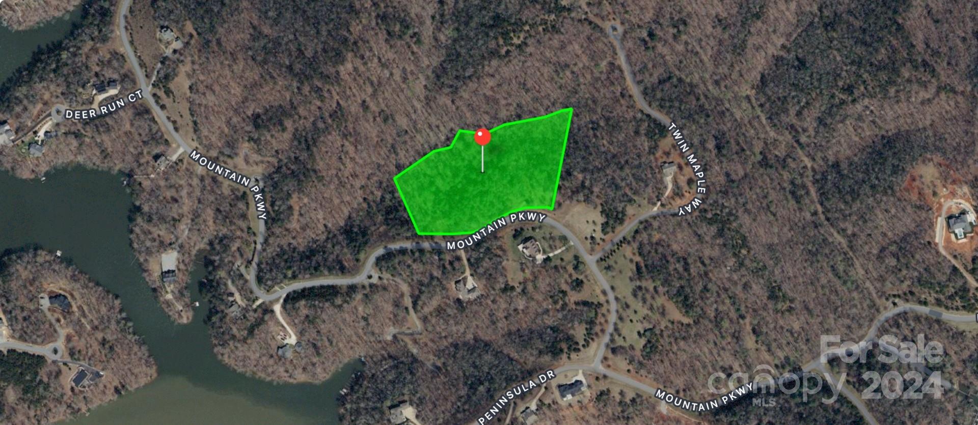 Lot 28 Mountain Pkwy Mill Spring, Unit 28 Mill Spring, NC 28756 - Photo 18 of 18 a green field with lots of tress in it