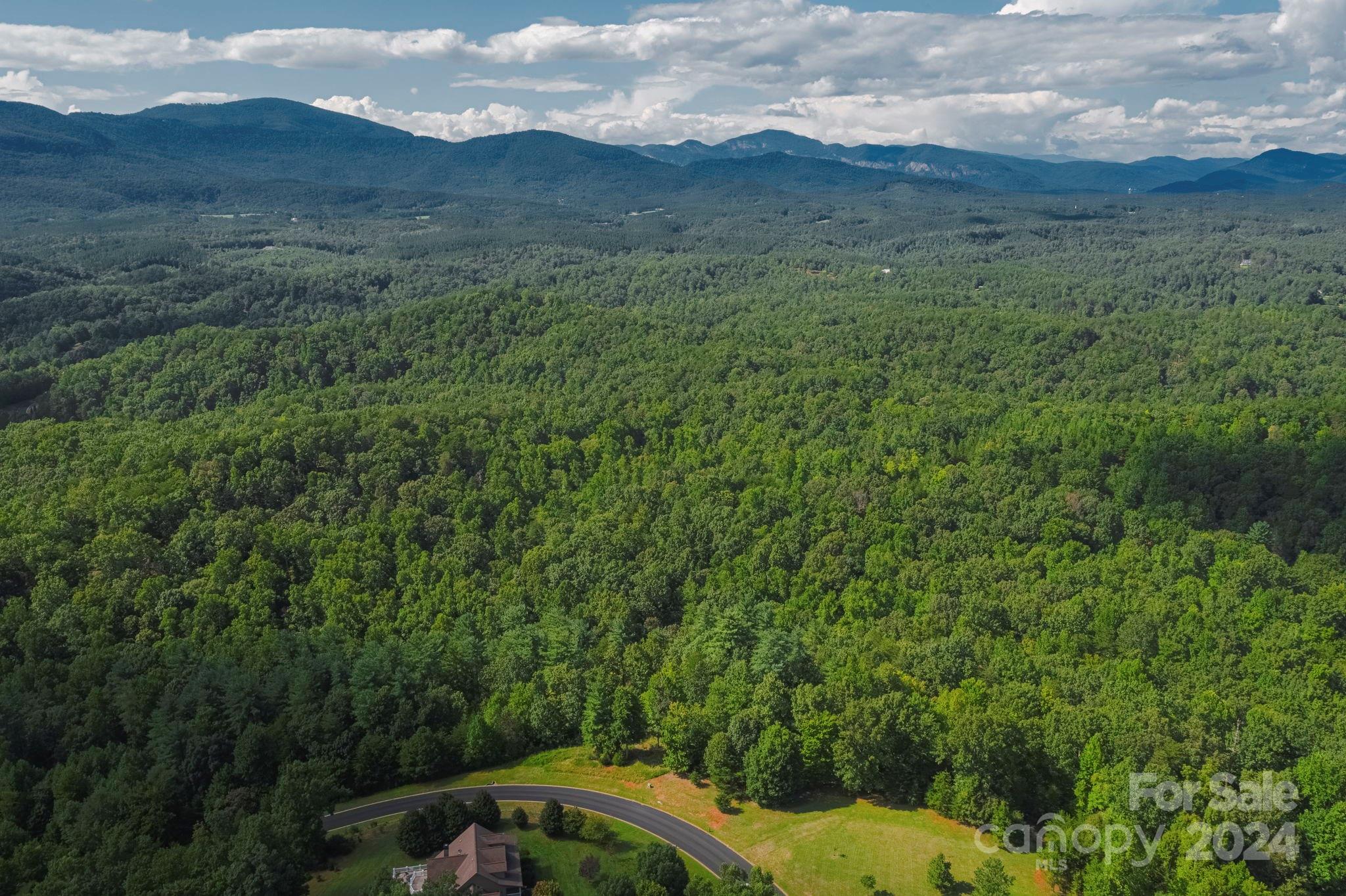 Lot 28 Mountain Pkwy Mill Spring, Unit 28 Mill Spring, NC 28756 - Photo 4 of 18 a view of a mountain in the distance