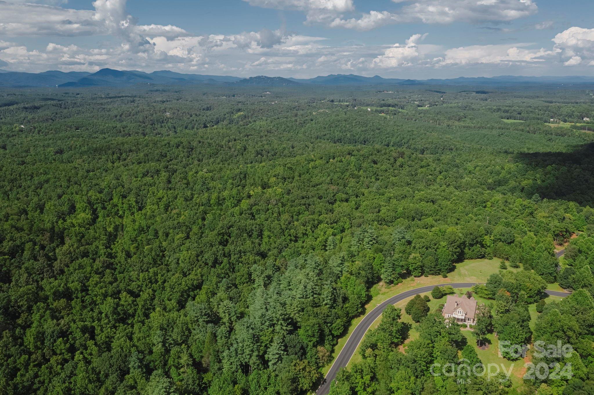 Lot 28 Mountain Pkwy Mill Spring, Unit 28 Mill Spring, NC 28756 - Photo 5 of 18 a view of a lush green forest with lots of trees