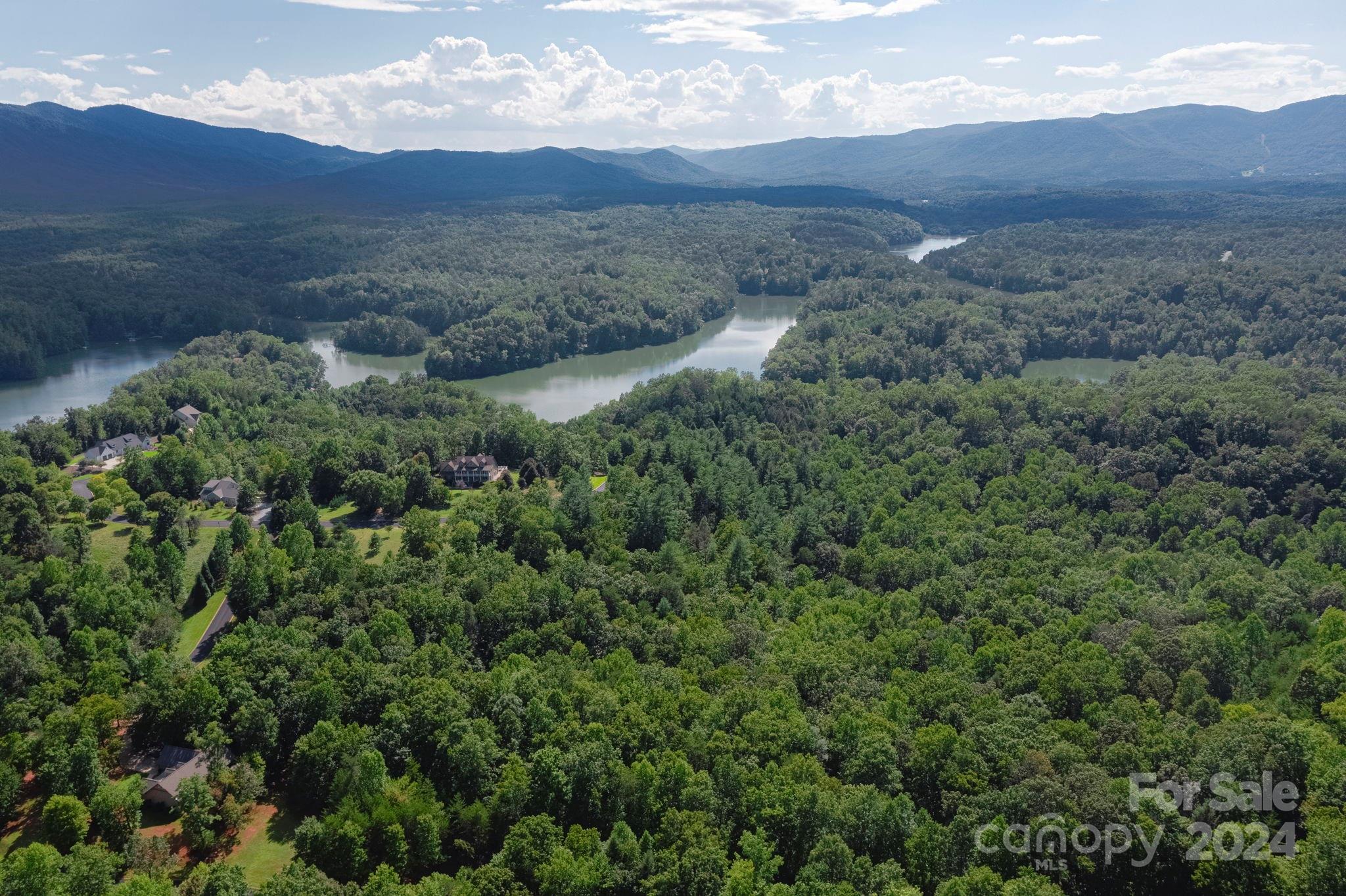Lot 28 Mountain Pkwy Mill Spring, Unit 28 Mill Spring, NC 28756 - Photo 6 of 18 a view of a lush green hillside and a houses