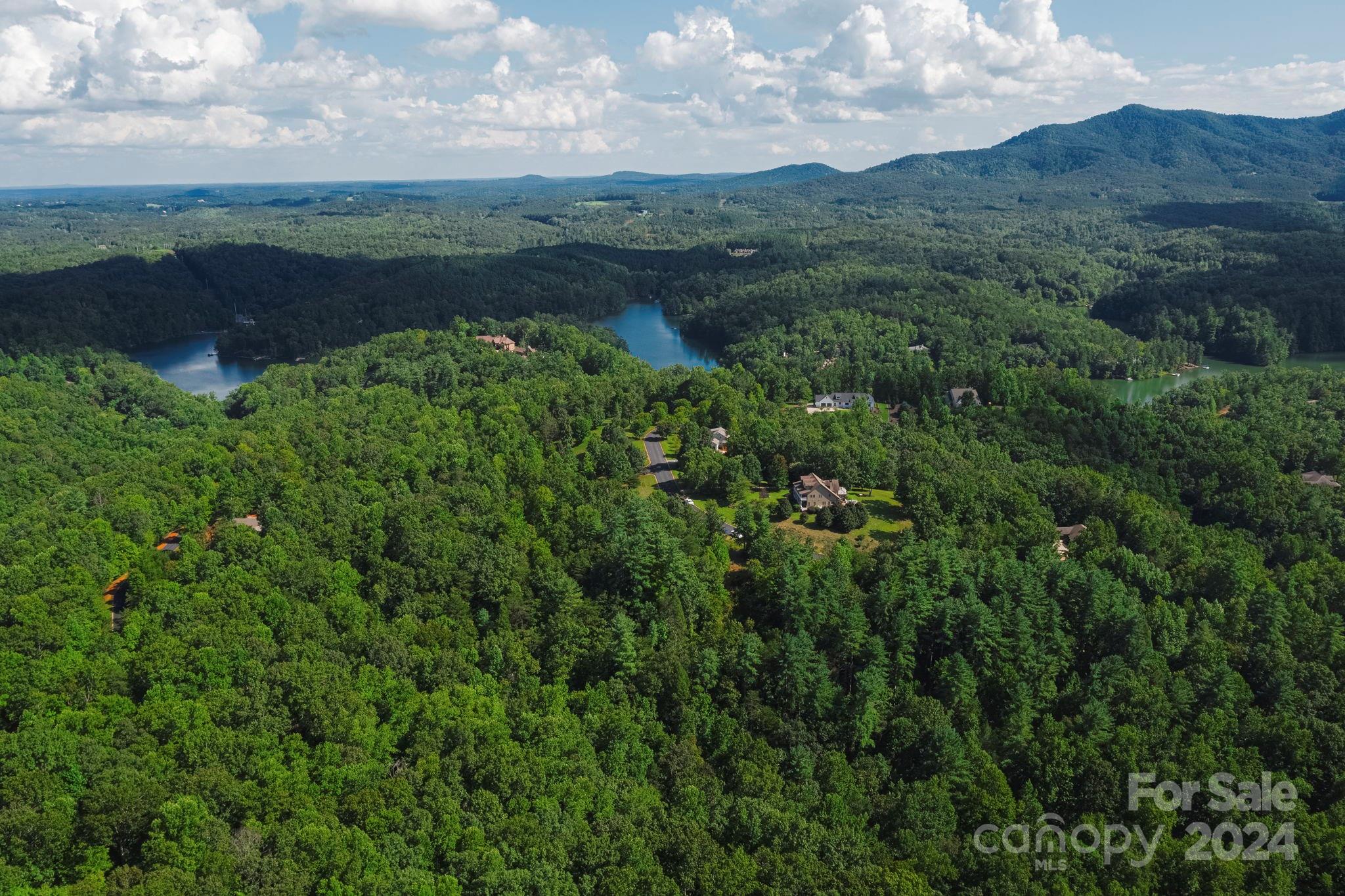Lot 28 Mountain Pkwy Mill Spring, Unit 28 Mill Spring, NC 28756 - Photo 7 of 18 a view of a lake with a mountain in the background