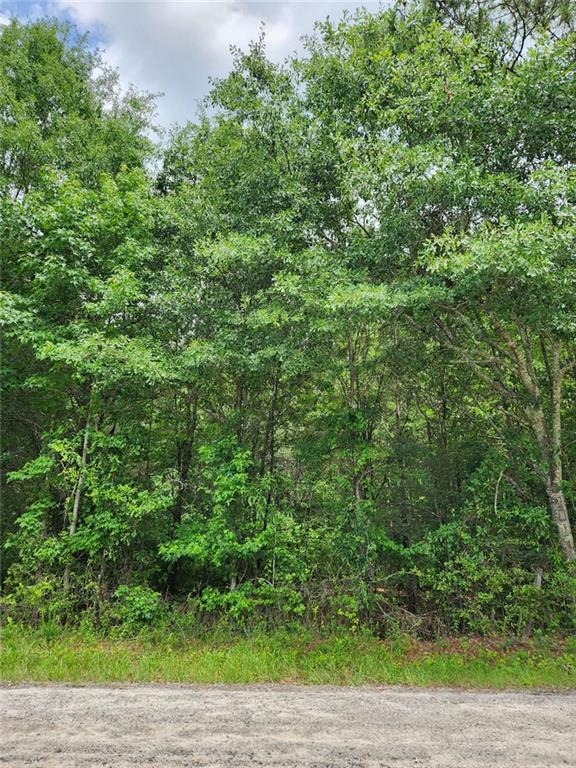 0 Barton Bridge Road Monroe, GA 30655 - Photo 5 of 5