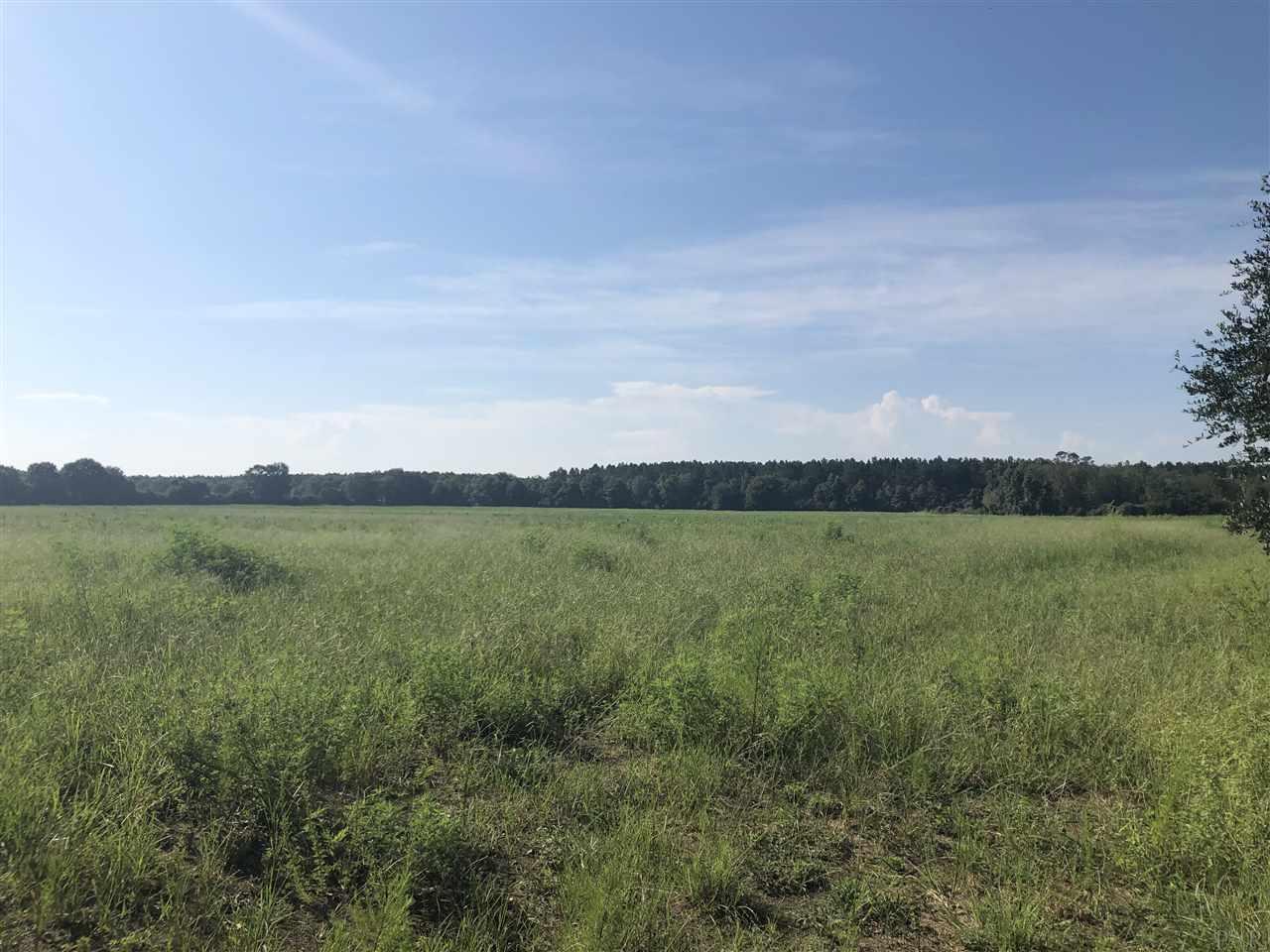 Lot 6 Mile Road Pace, FL 32571 - Photo 1 of 3 Gallery Image 1