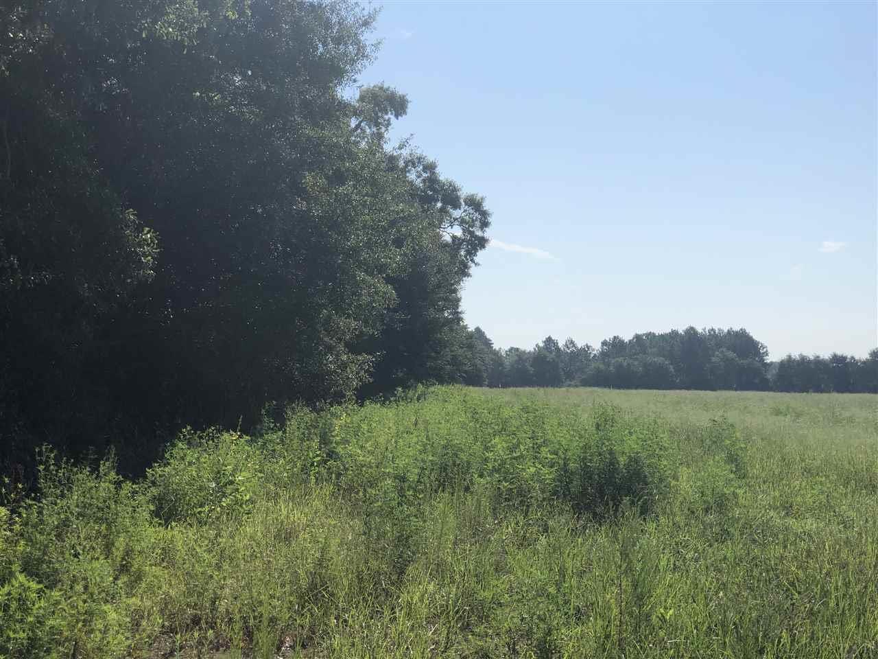 Lot 6 Mile Road Pace, FL 32571 - Photo 2 of 3 Gallery Image 2