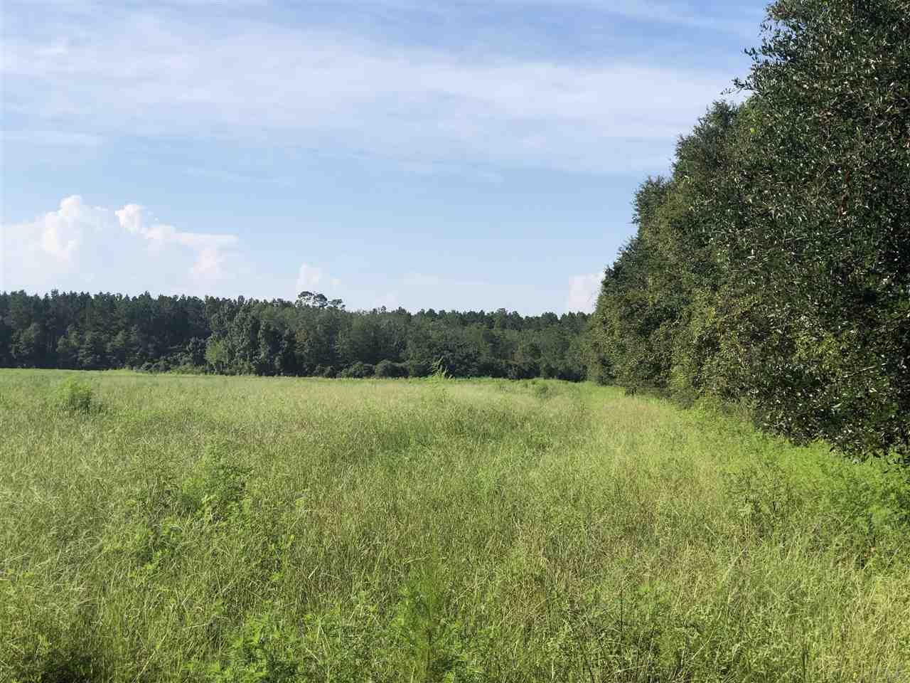 Lot 6 Mile Road Pace, FL 32571 - Photo 3 of 3 Gallery Image 3