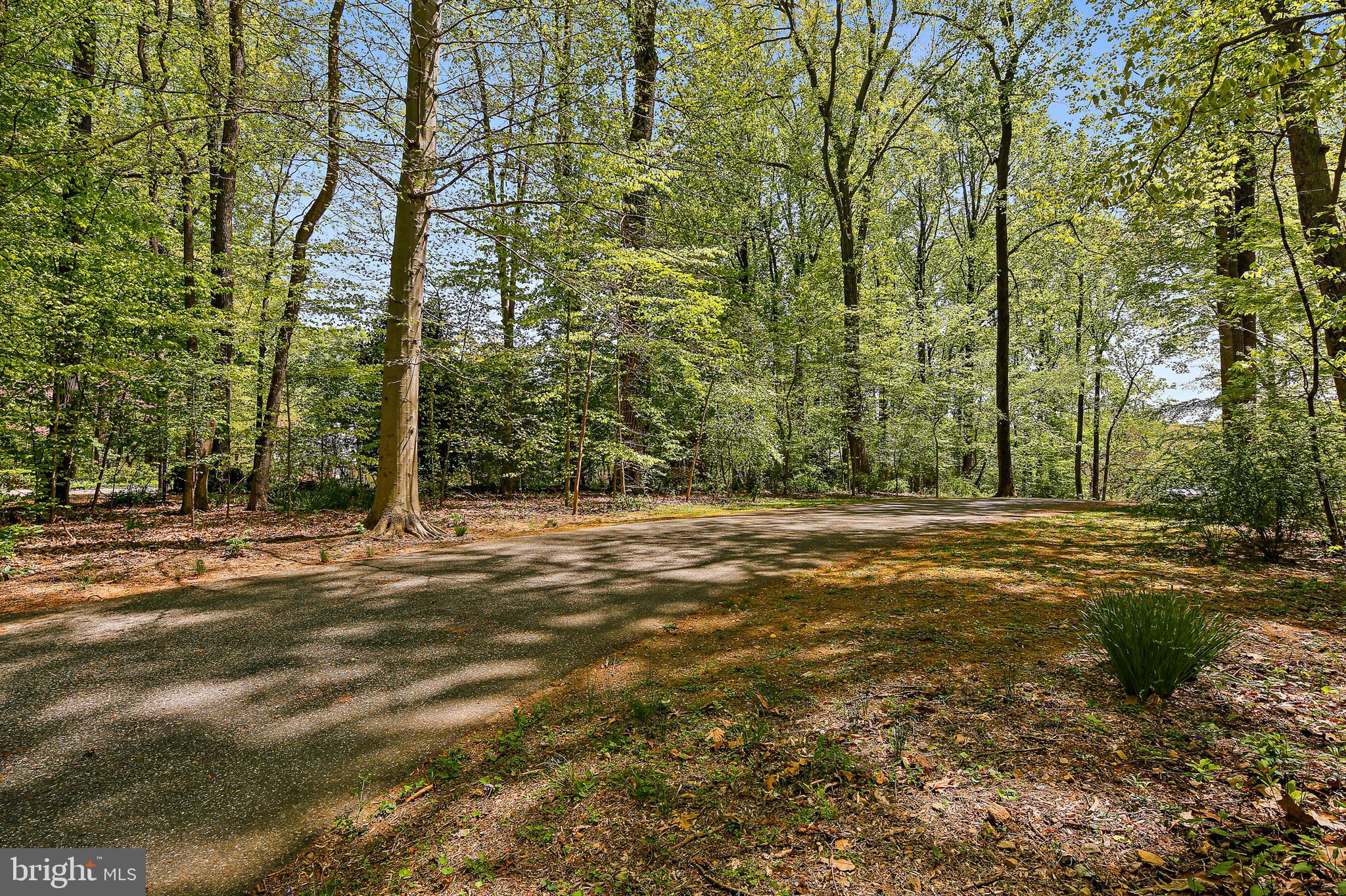 2911 Caves Road Owings Mills, MD 21117 - Photo 7 of 8 Shared Driveway