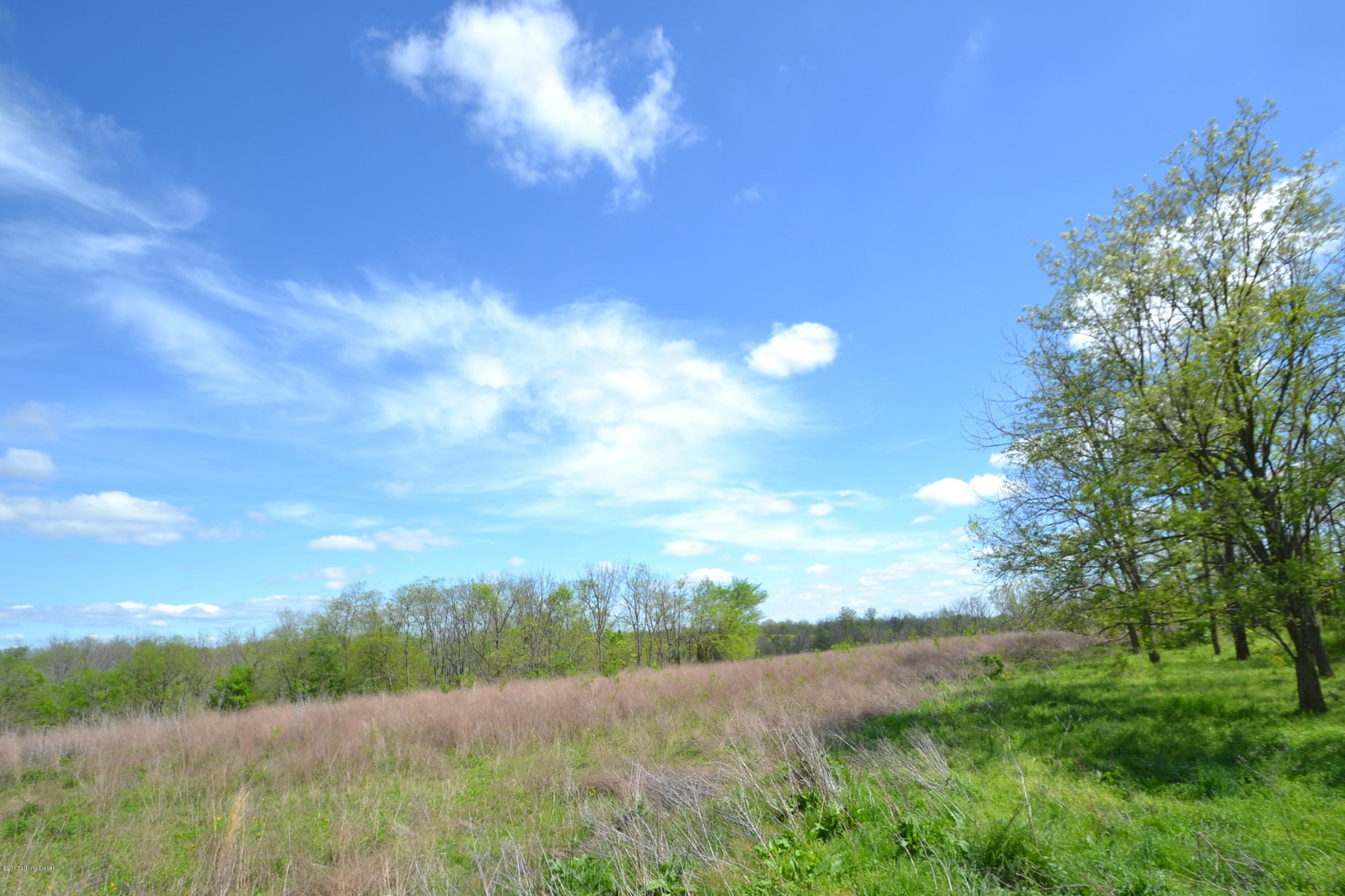 3329 Sunnyside Road Smithfield, KY 40068 - Photo 13 of 19 DSC_0610