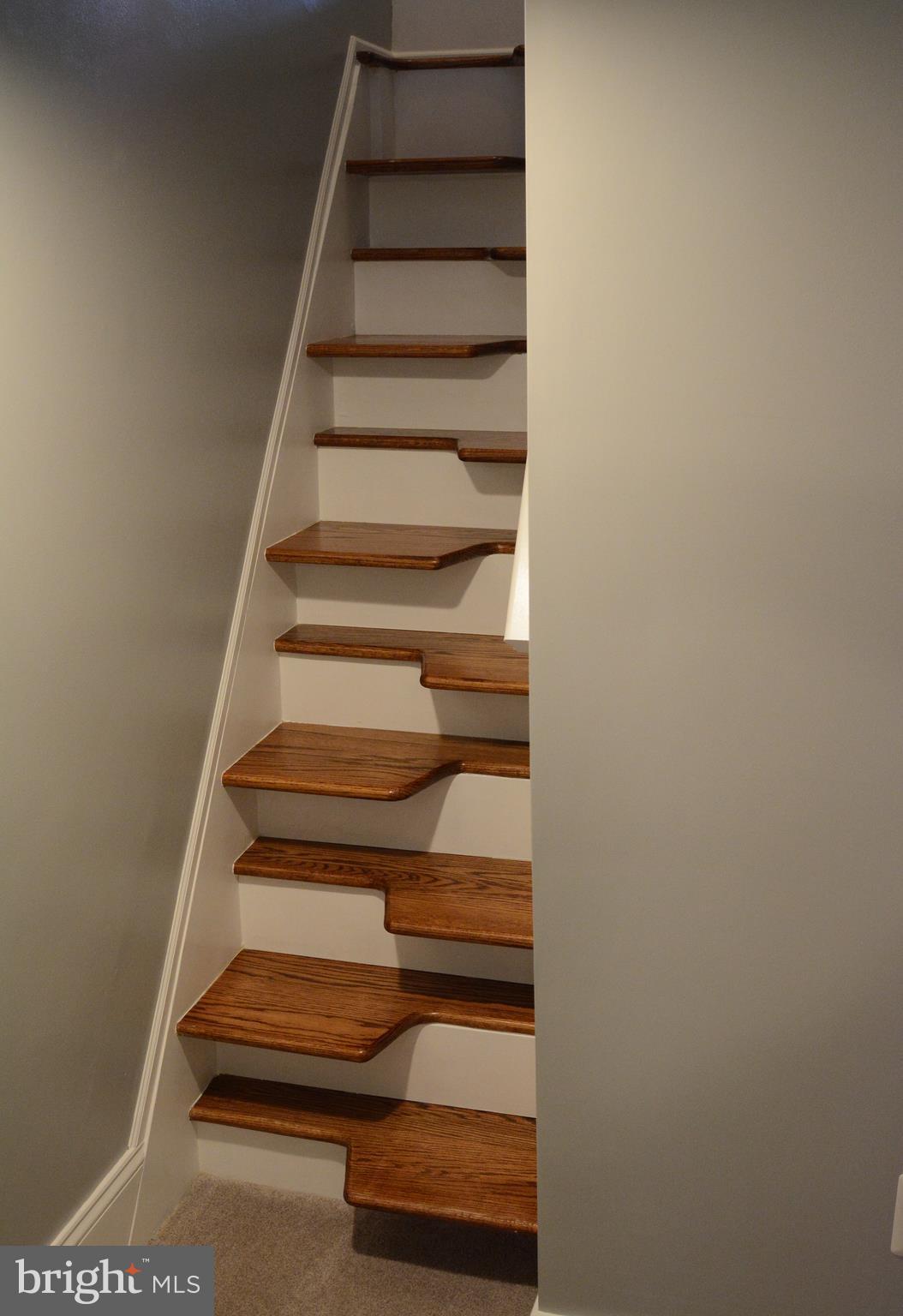 2620 Logmill Road Haymarket, VA 20169 - Photo 4 of 37 Jefferson Steps to Lower Level