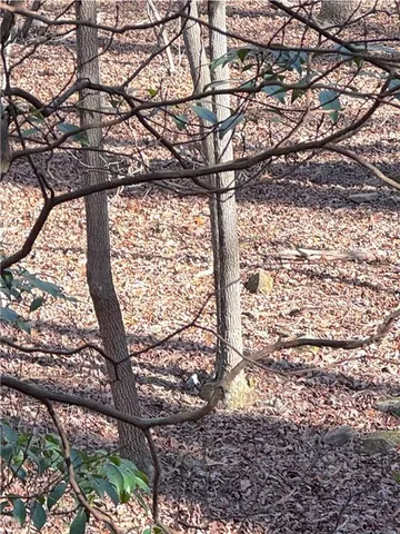 $37,500 | 0 Crooked Creek, Jasper, GA 30143