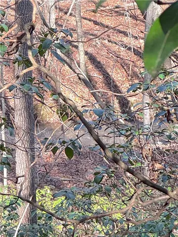 $37,500 | 0 Crooked Creek, Jasper, GA 30143