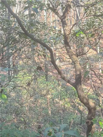 $37,500 | 0 Crooked Creek, Jasper, GA 30143