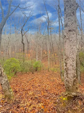 $37,500 | 0 Crooked Creek, Jasper, GA 30143