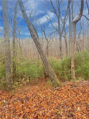 $37,500 | 0 Crooked Creek, Jasper, GA 30143