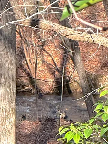 $37,500 | 0 Crooked Creek, Jasper, GA 30143