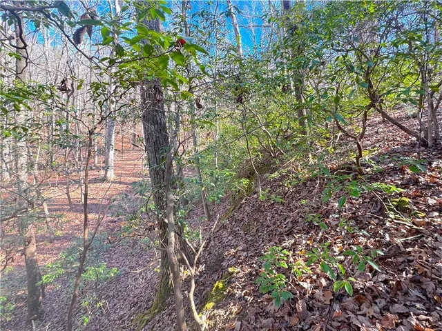 $37,500 | 0 Crooked Creek, Jasper, GA 30143