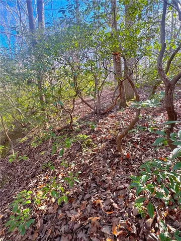 $37,500 | 0 Crooked Creek, Jasper, GA 30143