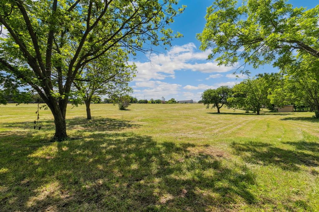 891 Shahan Prairie Road Little Elm, TX 75068 - Photo 4 of 21 a view of an trees with yard