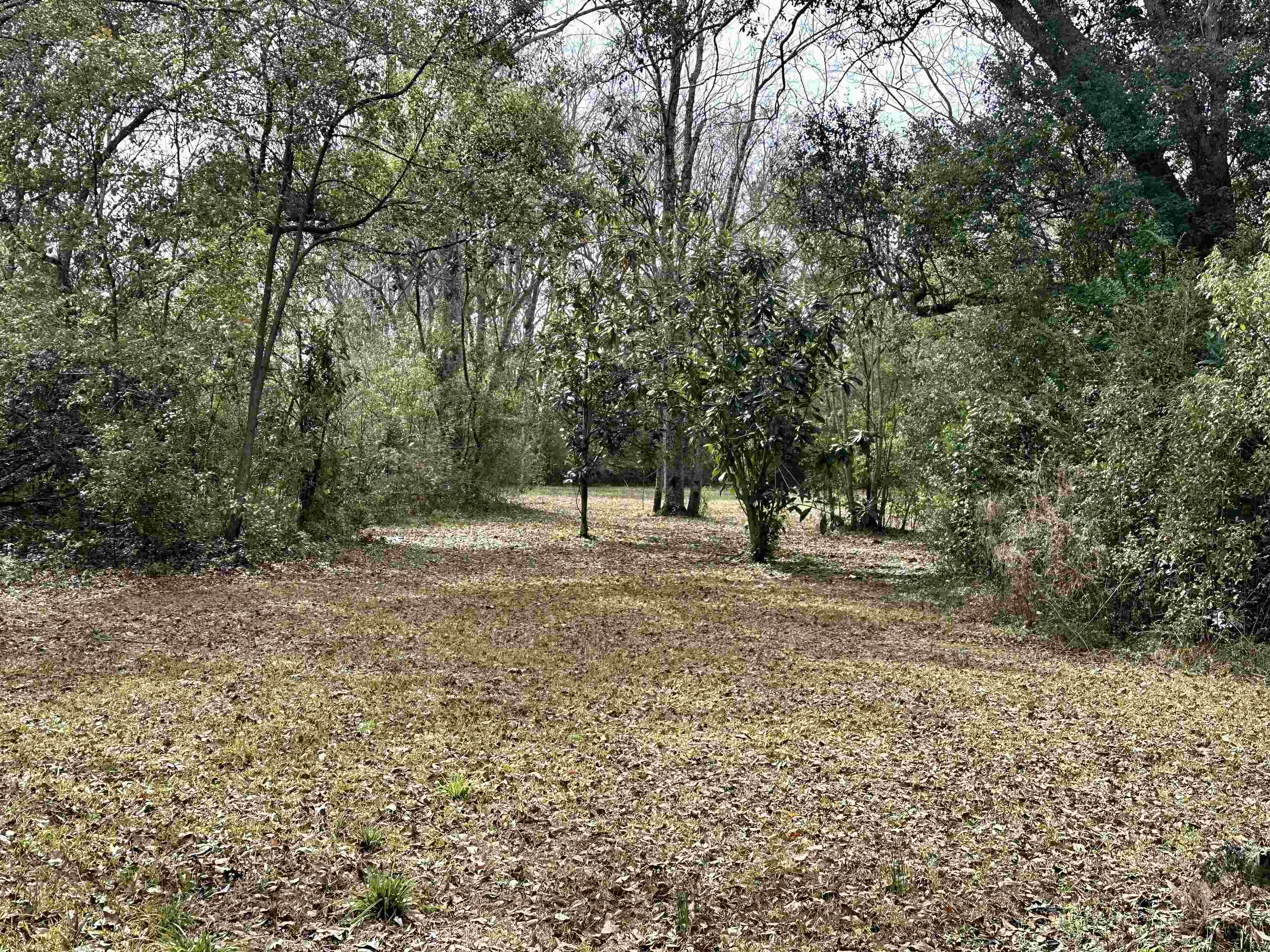 12089 Hickory Street South Foley, AL 36535 - Photo 5 of 8