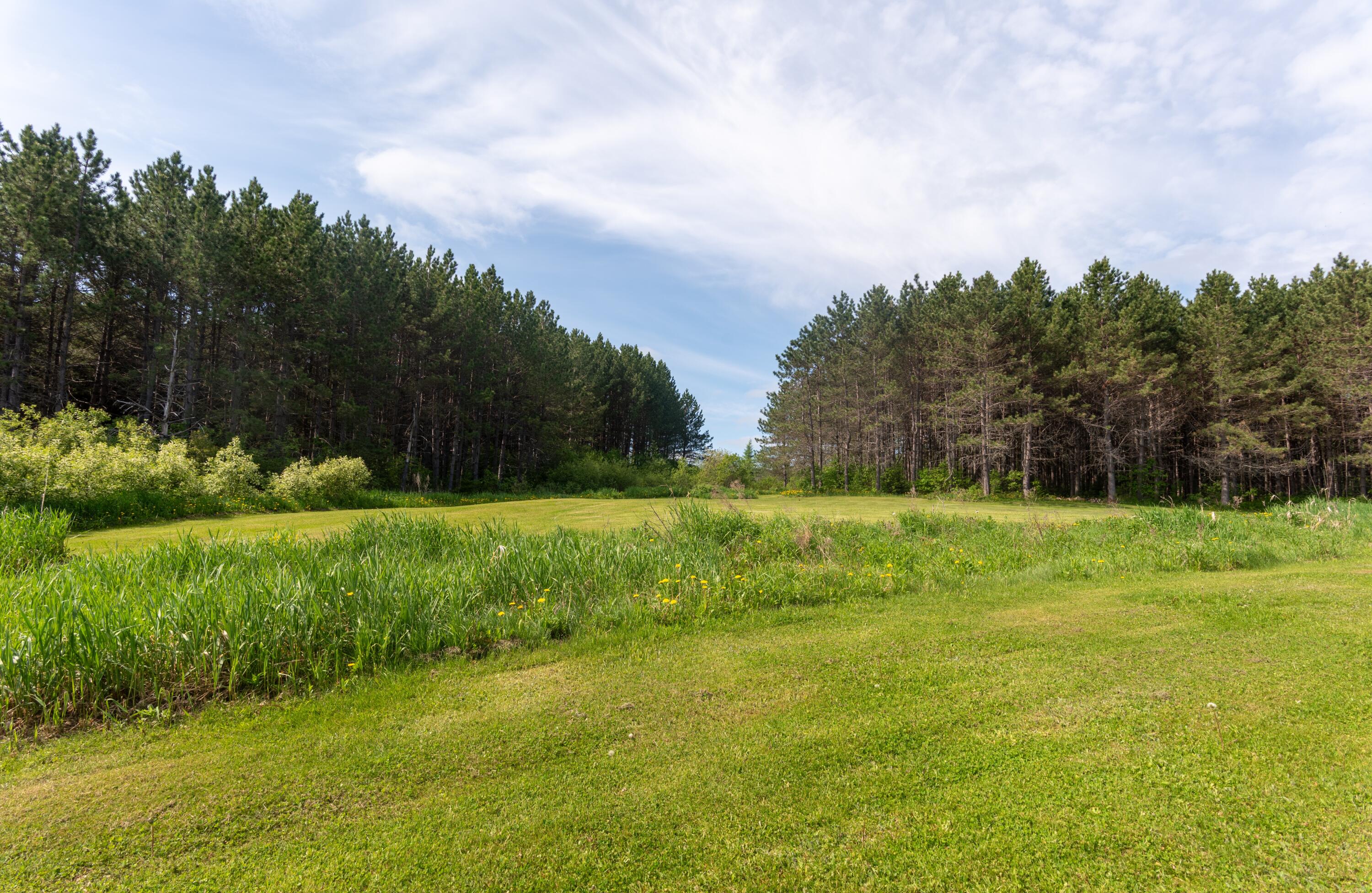 673 Main Street Grand Isle, ME 04746 - Photo 9 of 54 Backyard