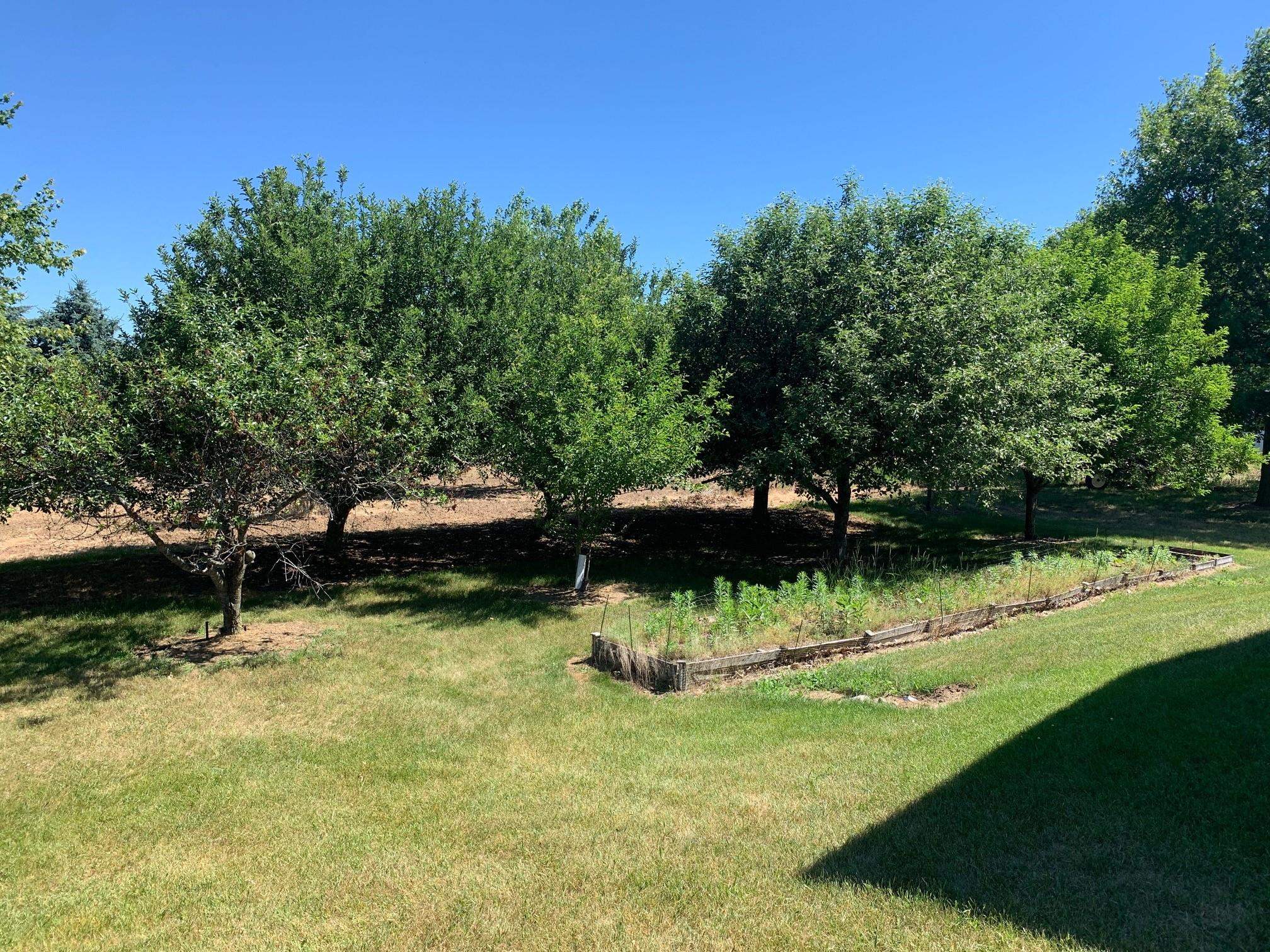 5913 East Fremont Road Shepherd, MI 48883 - Photo 16 of 40 1902117-15.JPG
