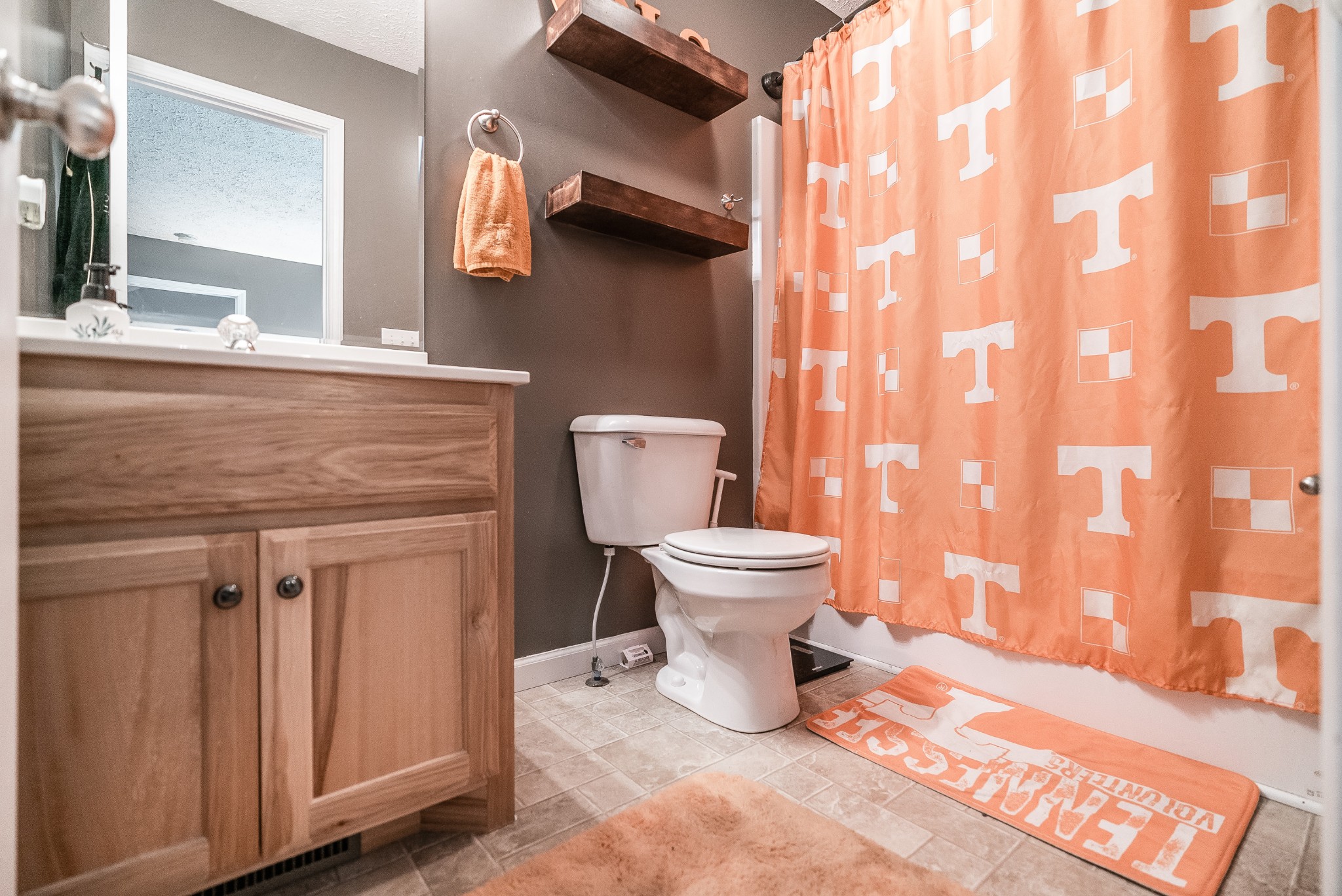 612 Denning Ford Road Portland, TN 37148 - Photo 11 of 26 a bathroom with a toilet a sink and mirror