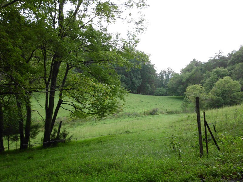 Creek Road, Unit 2162L Tellico Plains, TN 37385 - Photo 1 of 17 SANY0088