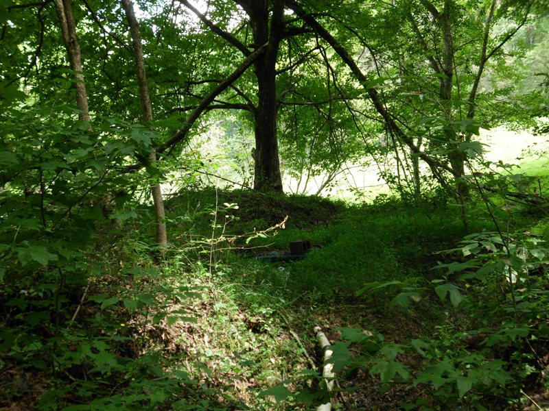 Creek Road, Unit 2162L Tellico Plains, TN 37385 - Photo 2 of 17 SANY0102