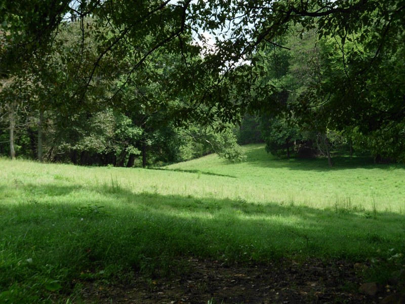 Creek Road, Unit 2162L Tellico Plains, TN 37385 - Photo 12 of 17 SANY0096
