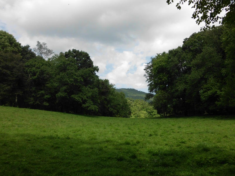 Creek Road, Unit 2162L Tellico Plains, TN 37385 - Photo 13 of 17 SANY0097