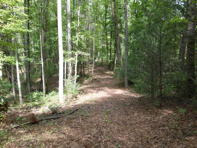 Creek Road, Unit 2162L Tellico Plains, TN 37385 - Photo 14 of 17 SANY0098
