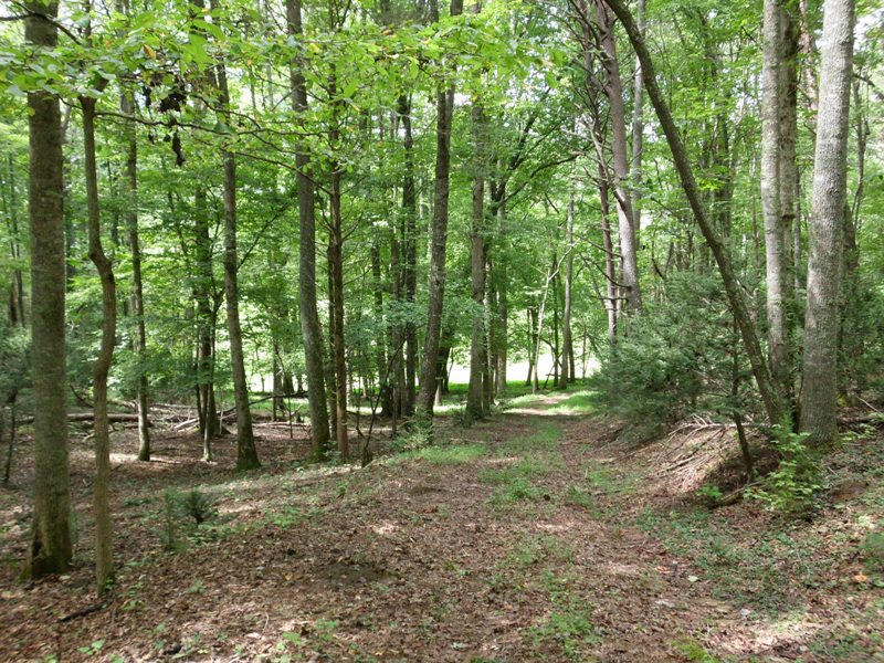Creek Road, Unit 2162L Tellico Plains, TN 37385 - Photo 15 of 17 SANY0099