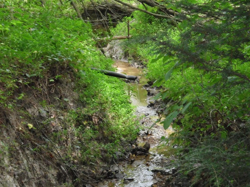 Creek Road, Unit 2162L Tellico Plains, TN 37385 - Photo 16 of 17 SANY0100