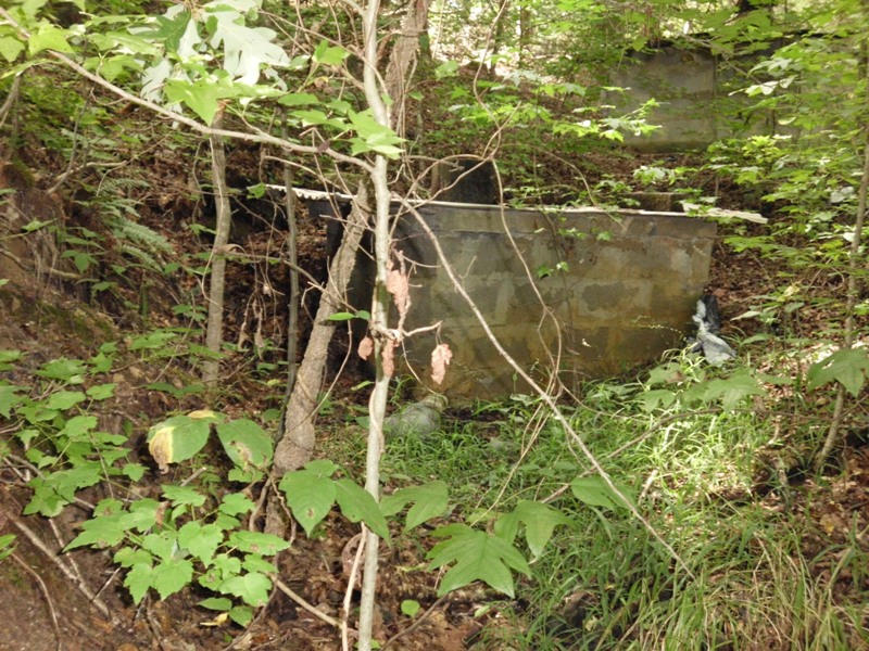 Creek Road, Unit 2162L Tellico Plains, TN 37385 - Photo 17 of 17 SANY0101