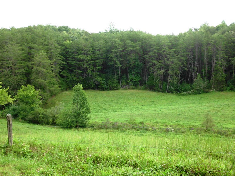 Creek Road, Unit 2162L Tellico Plains, TN 37385 - Photo 6 of 17 SANY0090