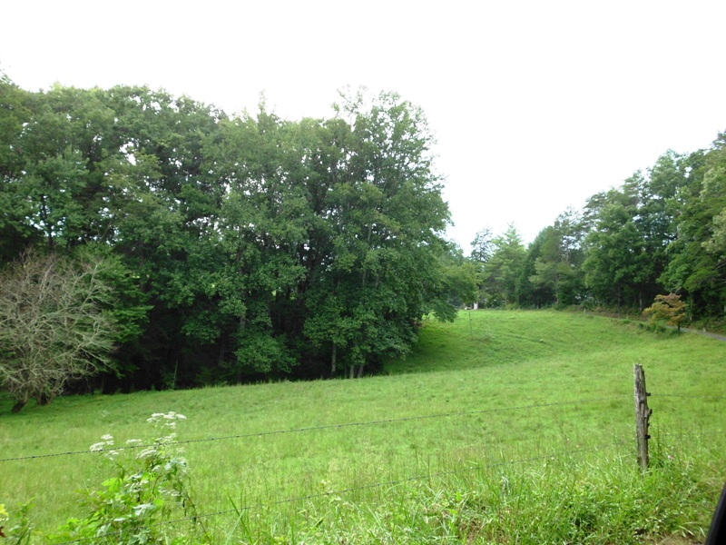 Creek Road, Unit 2162L Tellico Plains, TN 37385 - Photo 7 of 17 SANY0091