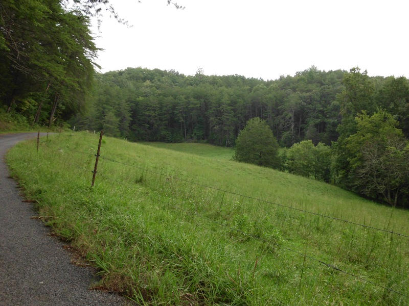 Creek Road, Unit 2162L Tellico Plains, TN 37385 - Photo 8 of 17 SANY0092