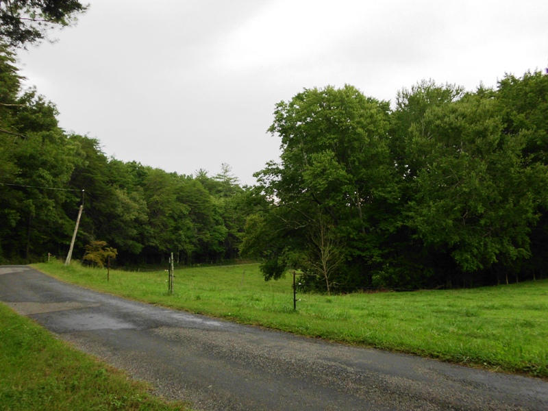 Creek Road, Unit 2162L Tellico Plains, TN 37385 - Photo 9 of 17 SANY0093