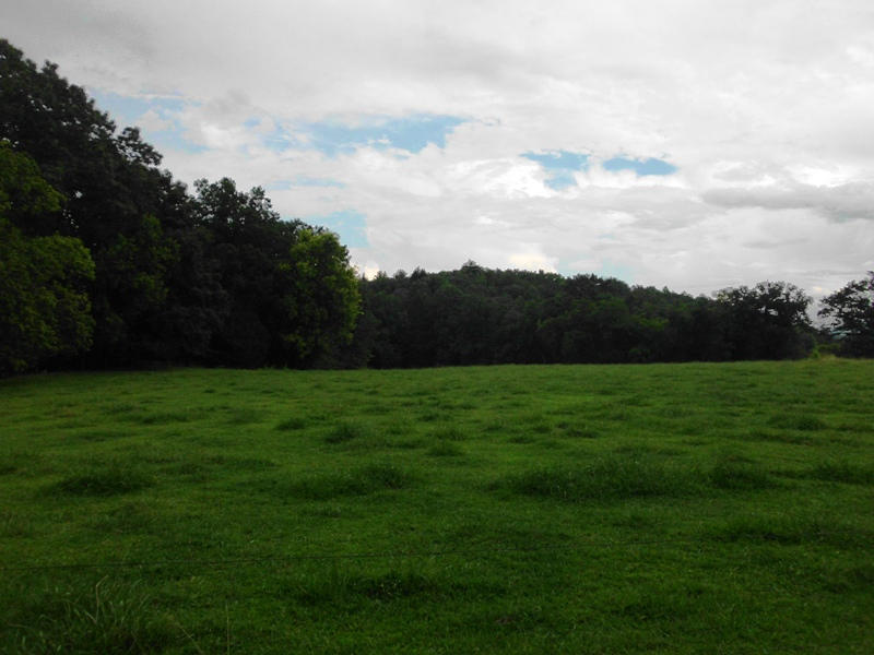 Creek Road, Unit 2162L Tellico Plains, TN 37385 - Photo 10 of 17 SANY0094