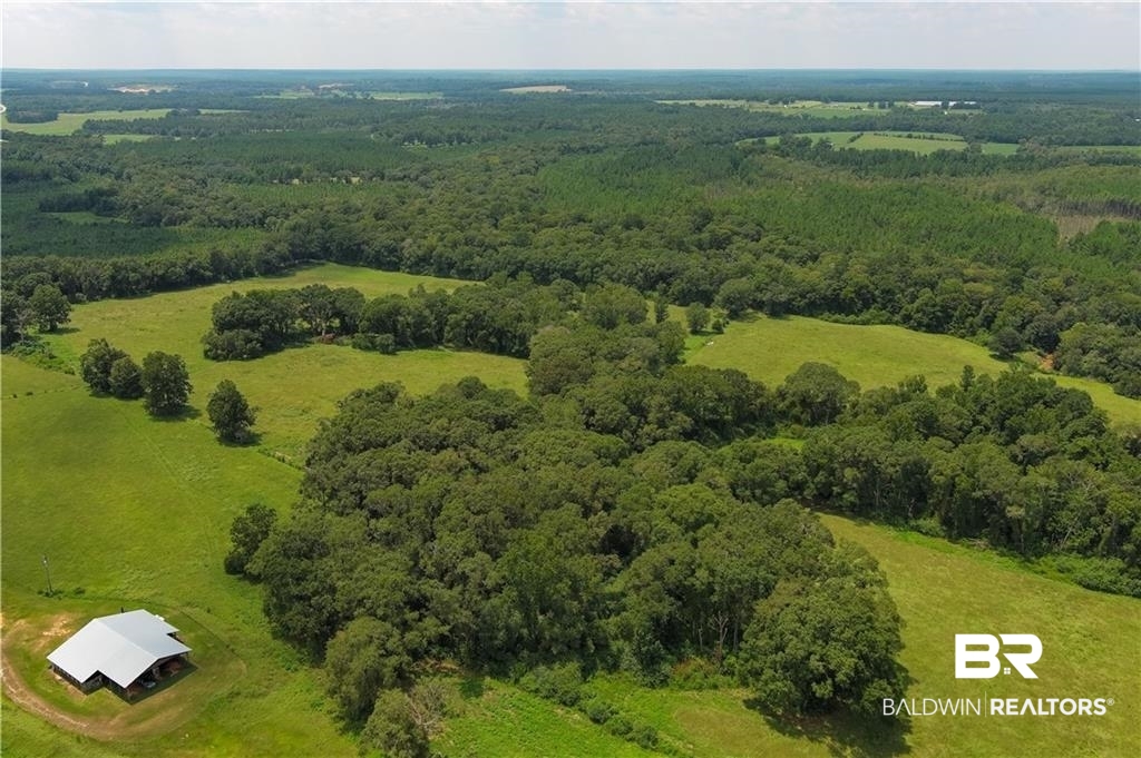 0 Circle R Farm Drive Florala, AL 36442 - Photo 16 of 25