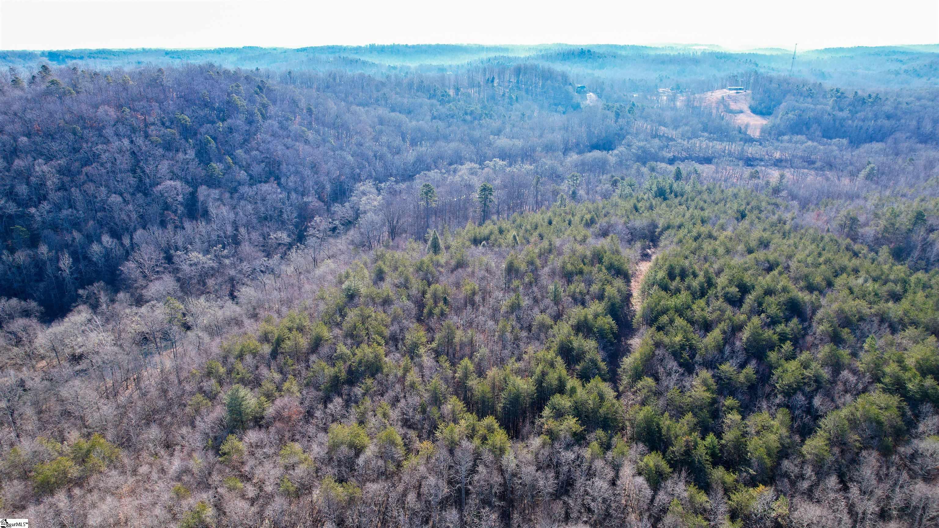 603 Freeman Bridge Road Marietta, SC 29661 - Photo 11 of 18