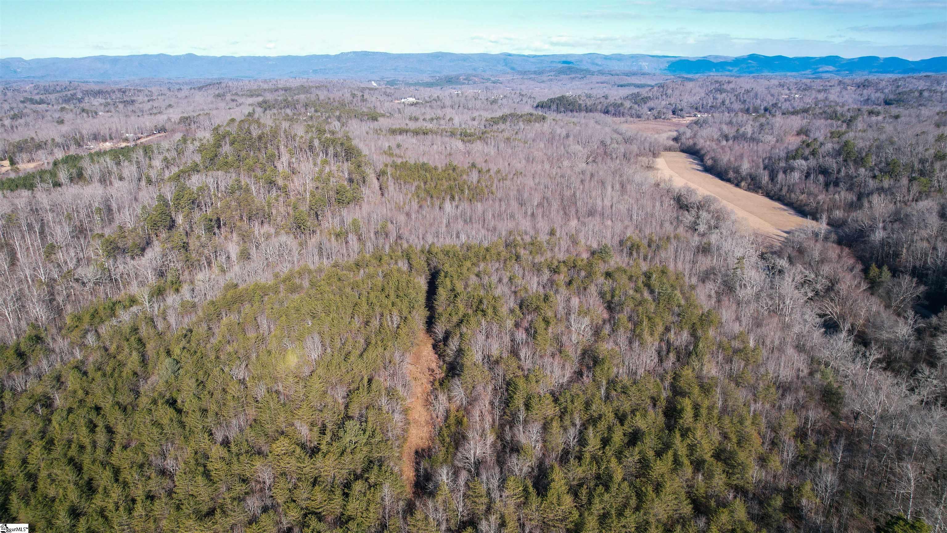 603 Freeman Bridge Road Marietta, SC 29661 - Photo 12 of 18