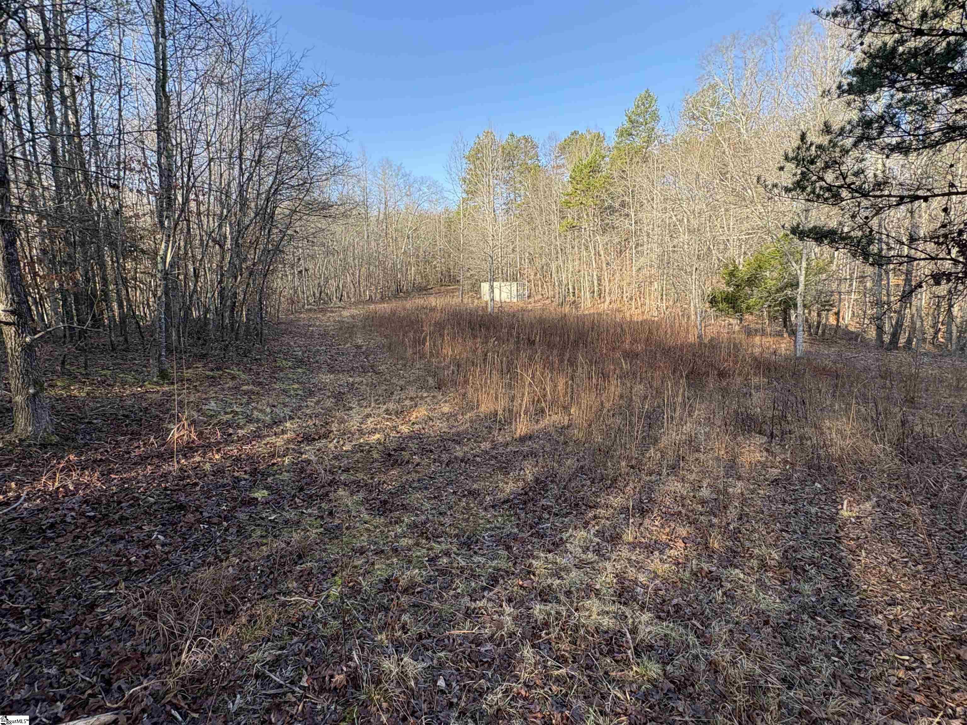603 Freeman Bridge Road Marietta, SC 29661 - Photo 13 of 18