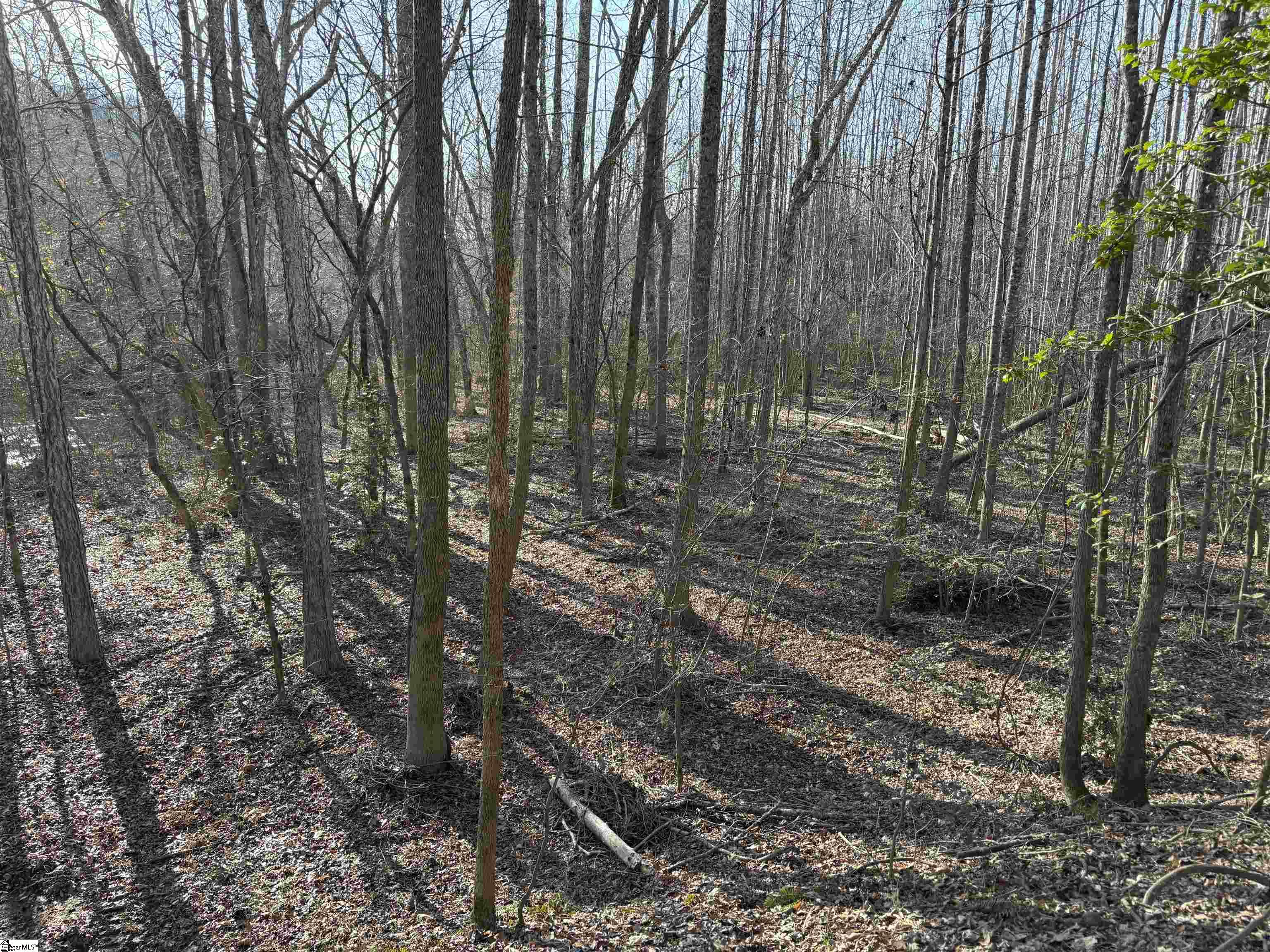 603 Freeman Bridge Road Marietta, SC 29661 - Photo 14 of 18