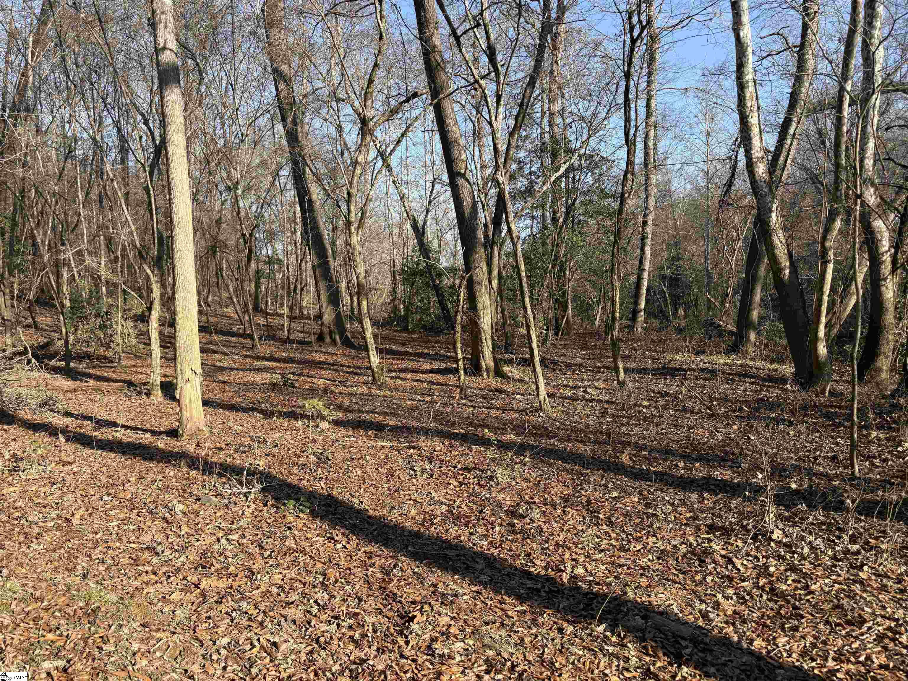 603 Freeman Bridge Road Marietta, SC 29661 - Photo 16 of 18