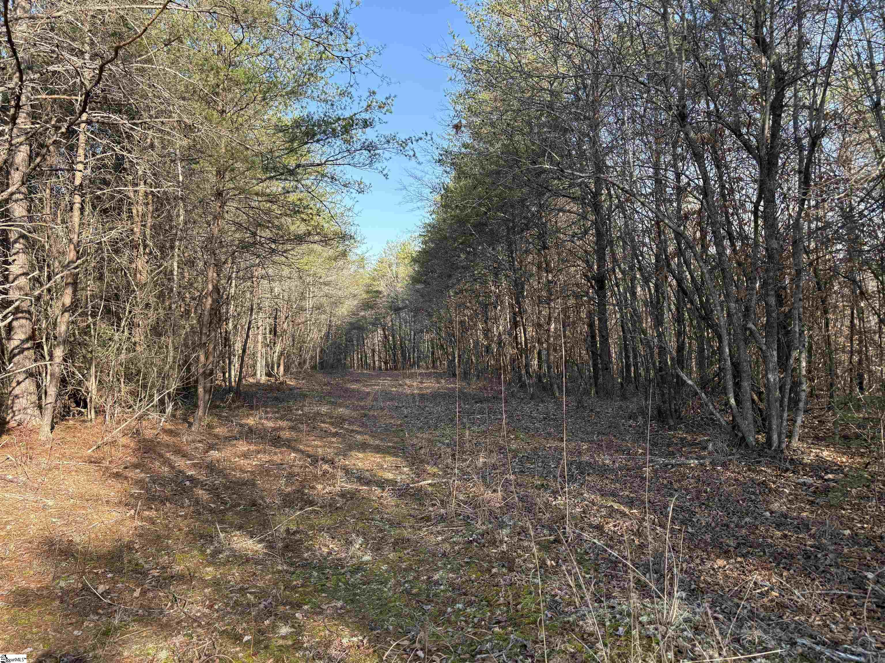 603 Freeman Bridge Road Marietta, SC 29661 - Photo 17 of 18