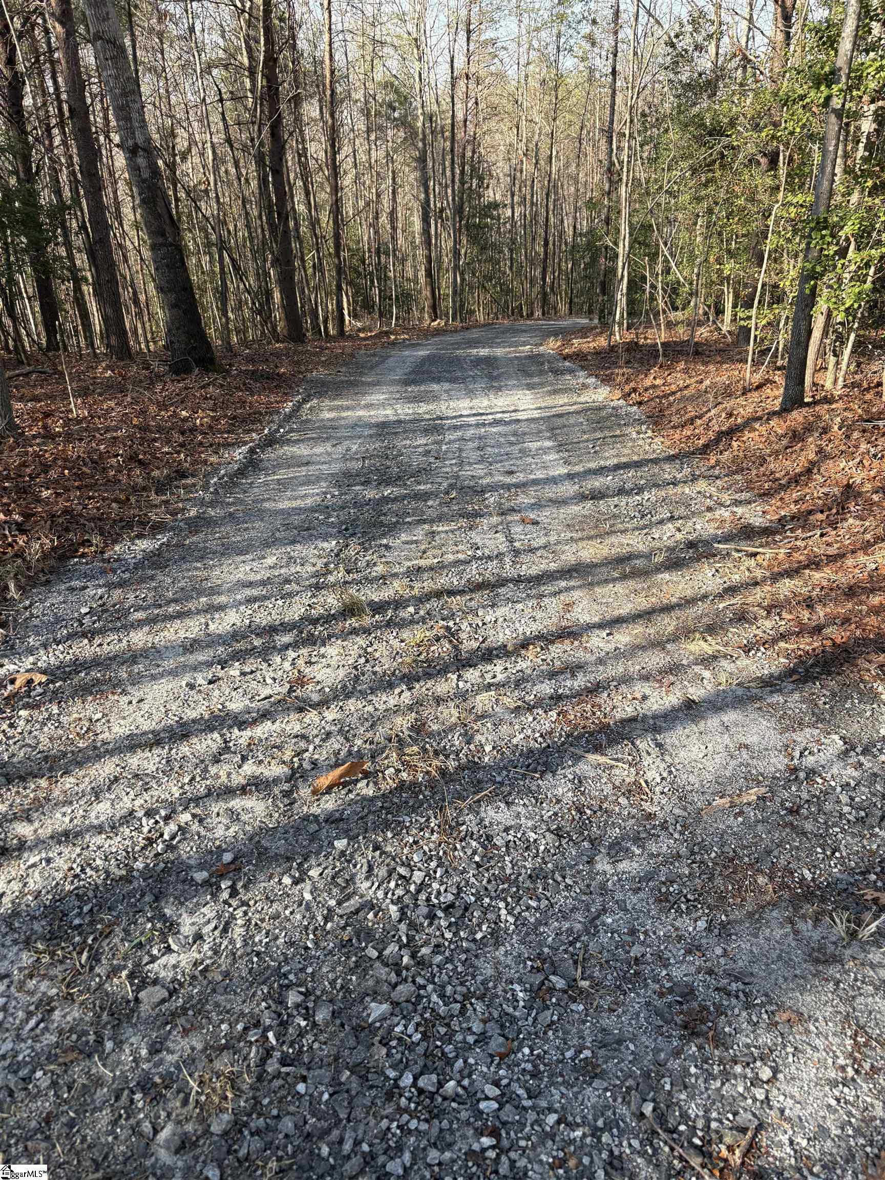 603 Freeman Bridge Road Marietta, SC 29661 - Photo 18 of 18